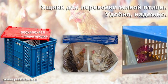 Пластиковые ящики для перевозки птицы